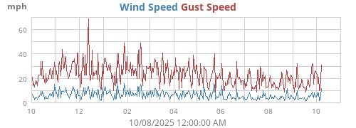 yearwind